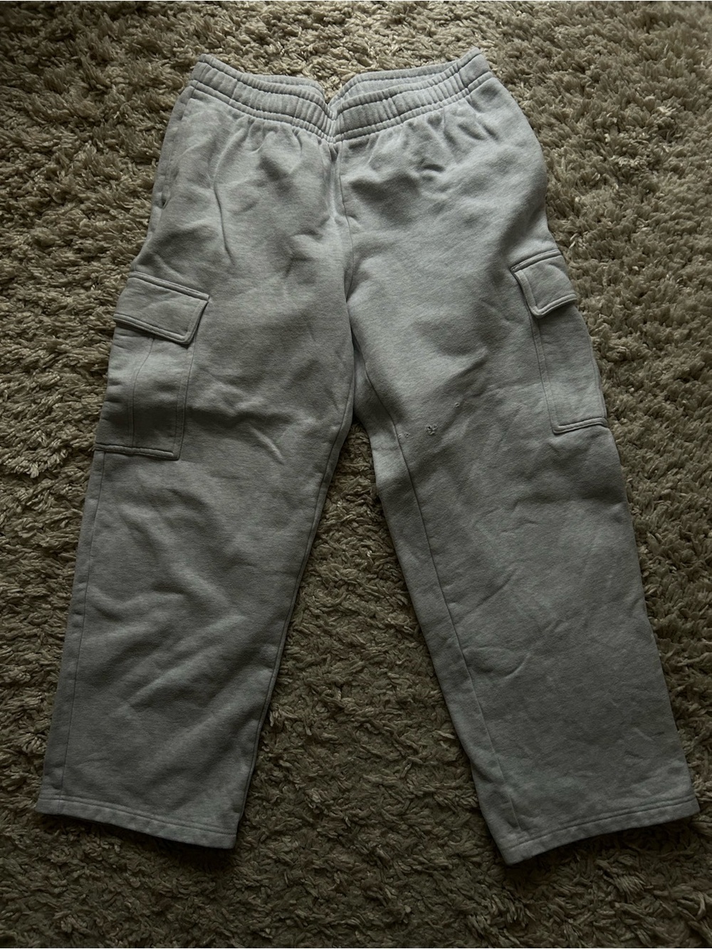 Aritzia MEGA COZY cargo sweatpants